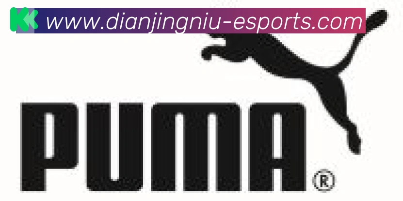 电竞牛合作伙伴